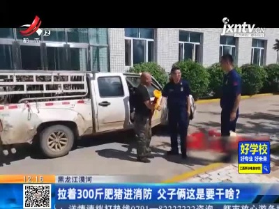 黑龙江漠河：拉着300斤肥猪进消防 父子俩这是要干啥？