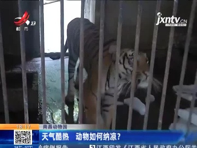 南昌动物园：天气酷热 动物如何纳凉？