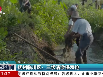 抚州临川区：三伏清淤保双抢