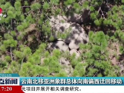 云南北移亚洲象群总体向南偏西迂回移动