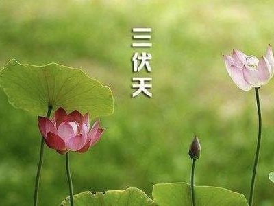 一年中最热的日子来了 “三伏天”为何如此难熬？