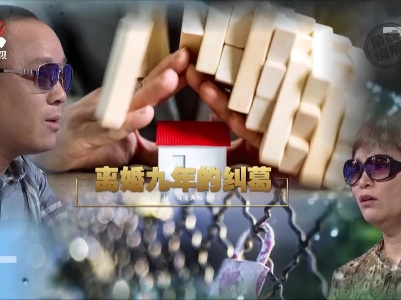 金牌调解20210728 离婚九年的纠葛