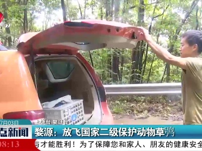 婺源：放飞国家二级保护动物草鸮
