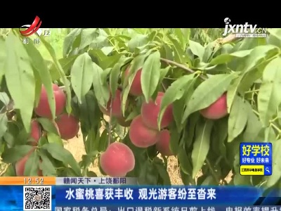 【赣闻天下】上饶鄱阳：水蜜桃喜获丰收 观光游客纷至沓来