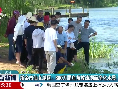 新余市仙女湖区：80万尾鱼苗放流湖面净化水质