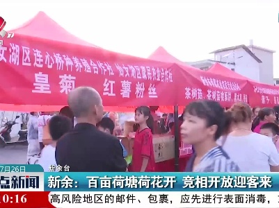 新余：百亩荷塘荷花开 竞相开放迎客来