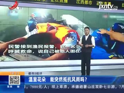 【都市2视评】温室花朵 能突然抵抗风雨吗？