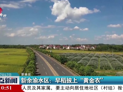 新余渝水区：早稻披上“黄金衣”