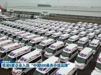 我省6家企业入选“中国500最具价值品牌”