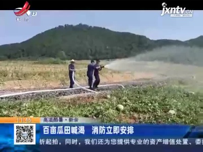 【高温酷暑】新余：百亩瓜田喊渴 消防立即安排