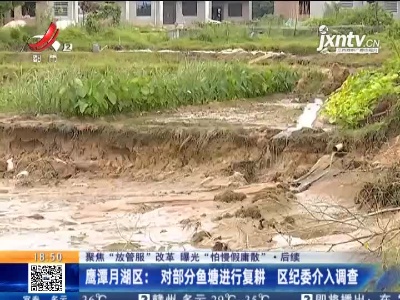 【聚焦“放管服”改革 曝光“怕慢假庸散”】后续·鹰潭月湖区：对部分鱼塘进行复耕 区纪委介入调查