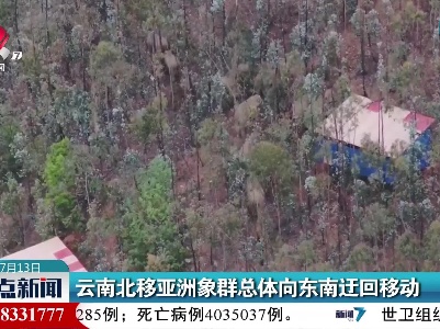 云南北移亚洲象群总体向东南迁回移动