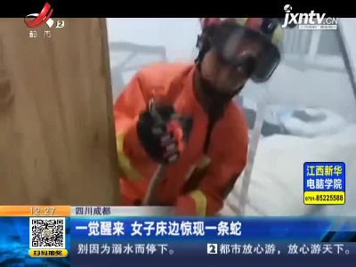 四川成都：一觉醒来 女子床边惊现一条蛇