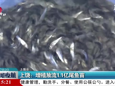 上饶：增殖放流1.1亿尾鱼苗