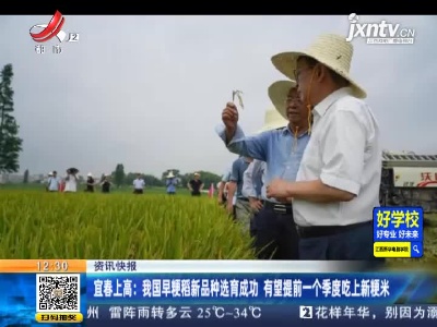 宜春上高：我国早粳稻新品种选育成功 有望提前一个季度吃上新粳米