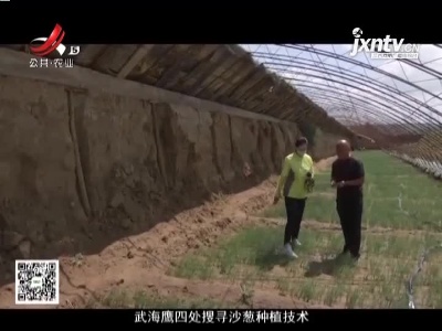 稻花香里20210723 乡村发现——跨越山海 “稻花”陪你看远方