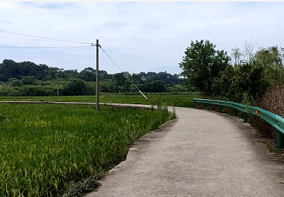 九江：实现“村村通”和“组组通”水泥路