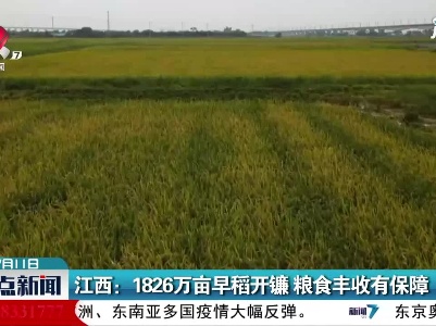 江西：1826万亩早稻开镰 粮食丰收有保障