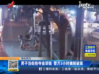 湖北武汉：男子当街抢夺金项链 警方3小时擒贼破案