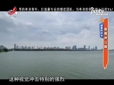 地宝当家20210726