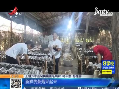 【赣闻天下】上饶万年：新鲜茶菇采起来 让日子火起来
