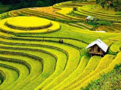 “见证中国日新月异的变化很有意义”（百名外国政党政要看中共）——访毛里塔尼亚争取共和联盟主席阿玛尔