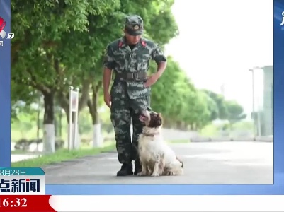 这一跳 只为最后的拥抱