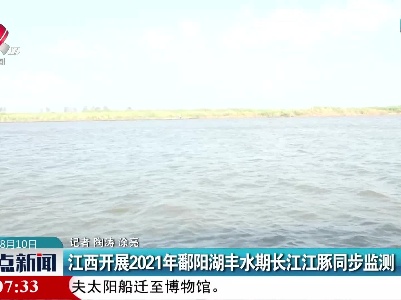 江西开展2021年鄱阳湖丰水期长江江豚同步监测