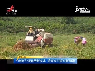 三农要闻20210809
