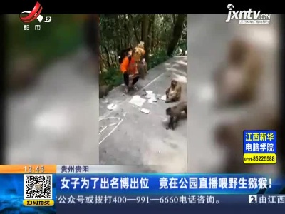 贵州贵阳：女子为了出名博出位 竟在公园直播喂野生猕猴！