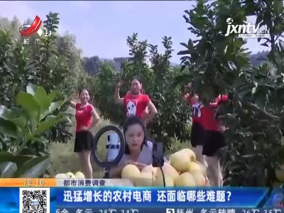 【都市消费调查】迅猛增长的农村电商 还面临哪些难题？