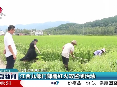 江西九部门部署红火蚁监测活动