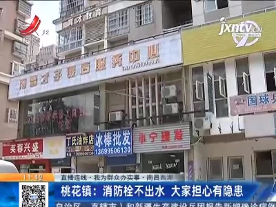 【直播连线·我为群众办实事·南昌西湖】桃花镇：消防栓不出水 大家担心有隐患