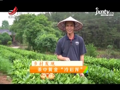 稻花香里20210817 乡村发现——茶中黄金“冷后浑”