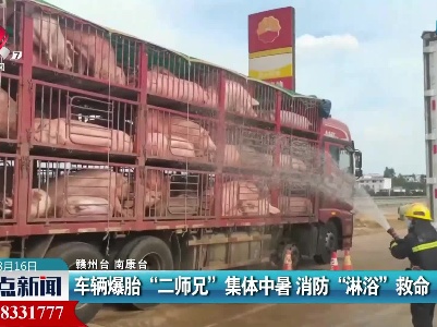赣州：车辆爆胎“二师兄”集体中暑 消防“淋浴”救命