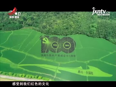 浮梁：高岭·中国村彩色水稻画新景