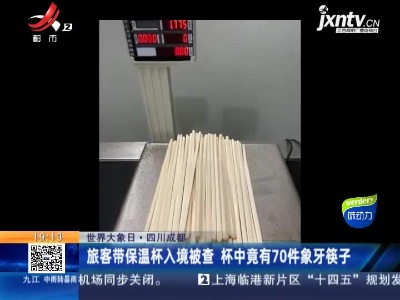 【世界大象日】四川成都：旅客带保温杯入境被查 杯中竟有70件象牙筷子