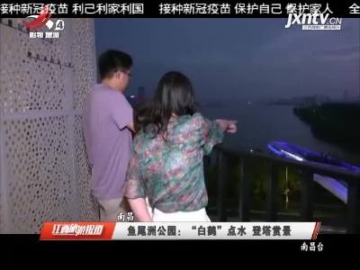 南昌·鱼尾洲公园：“白鹤”点水登塔赏景