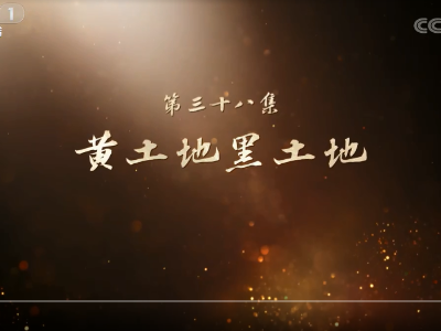 《山河岁月》 第三十八集 黄土地黑土地
