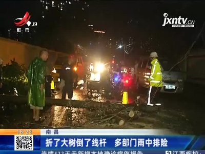 南昌：折了大树倒了线杆 多部门雨中排险