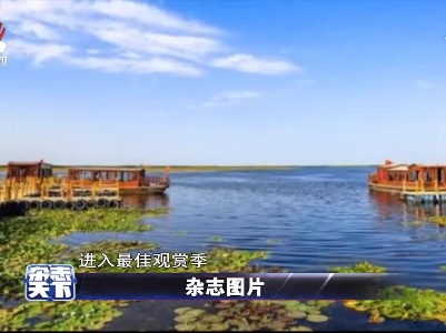 杂志天下20210810