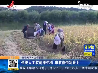 【赣闻天下】上饶鄱阳：传统人工收割原生稻 丰收喜悦写脸上