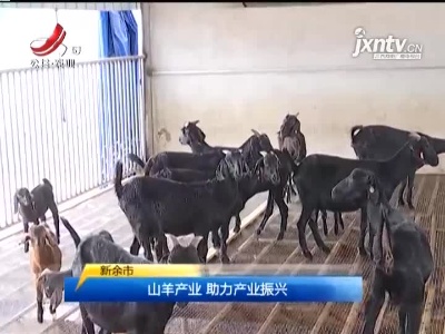 三农要闻20210813