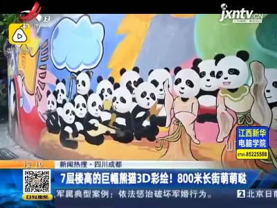 【新闻热搜】四川成都：7层楼高的巨幅熊猫3D彩绘！ 800米长街萌萌哒