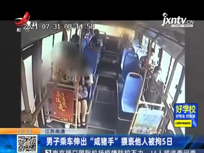 江苏南通：男子乘车伸出“咸猪手” 猥亵他人被拘5日