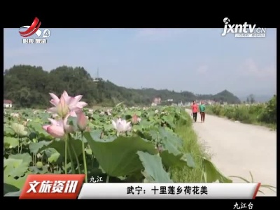 武宁：十里莲乡荷花美