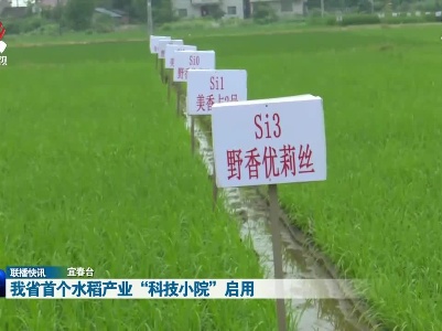 我省首个水稻产业“科技小院”启用