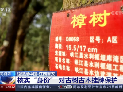 央视报道：江西吉安对古树古木实施网络化身份证管理