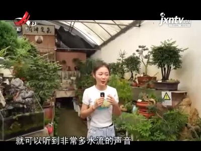 放心体验 打卡南昌最大的花卉市场