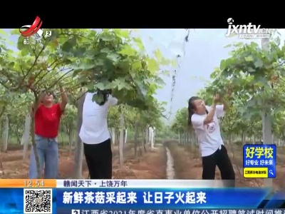 都市现场·午间版20210813